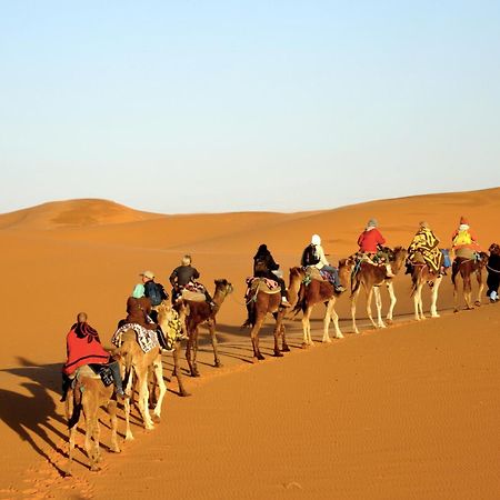 Sahara camel tours camp Hotel Merzouga Bagian luar foto