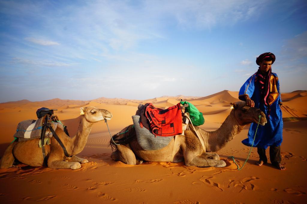Sahara camel tours camp Hotel Merzouga Bagian luar foto