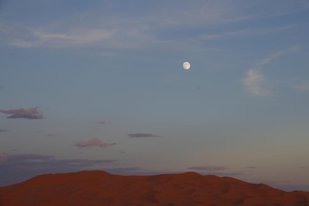 Sahara camel tours camp Hotel Merzouga Bagian luar foto