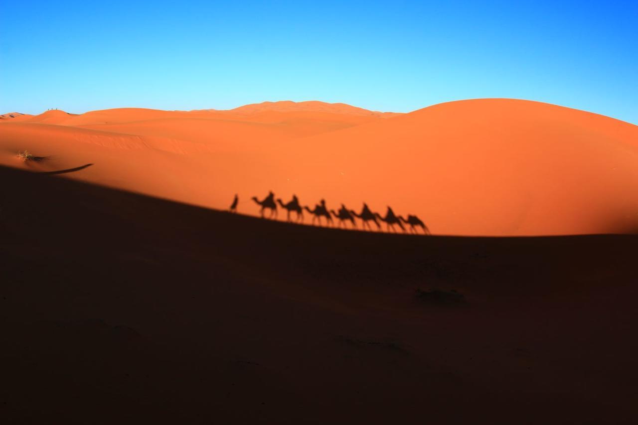 Sahara camel tours camp Hotel Merzouga Bagian luar foto