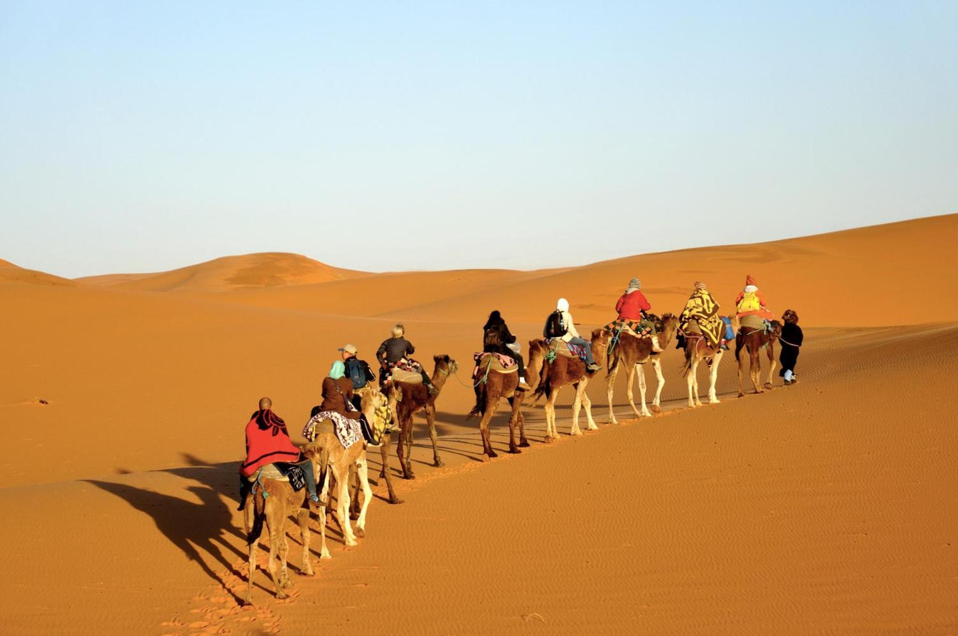 Sahara camel tours camp Hotel Merzouga Bagian luar foto