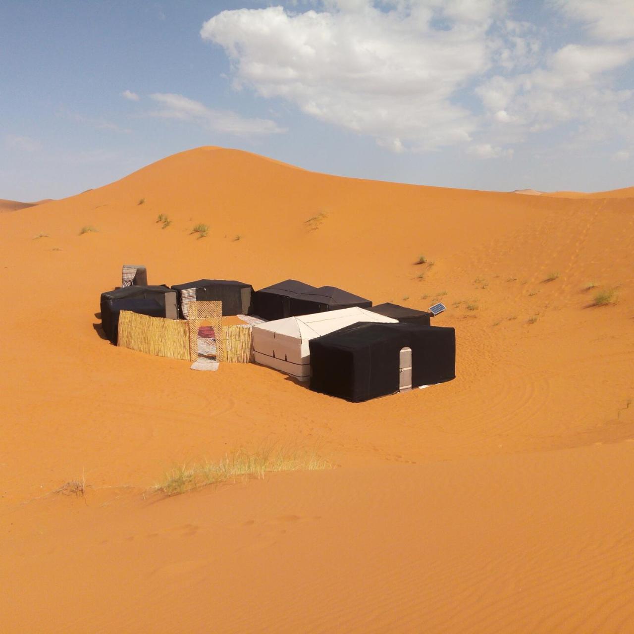 Sahara camel tours camp Hotel Merzouga Bagian luar foto