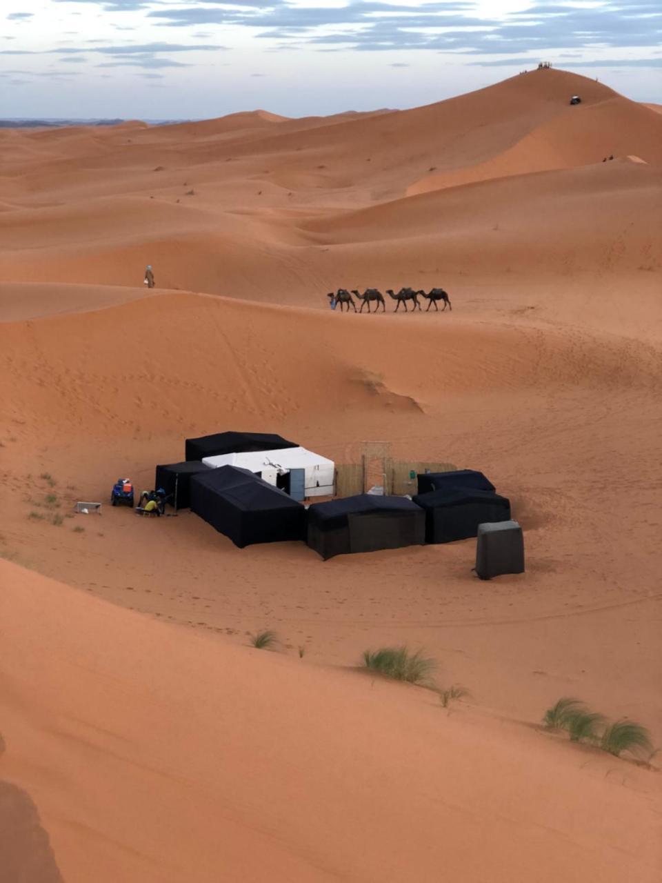 Sahara camel tours camp Hotel Merzouga Bagian luar foto