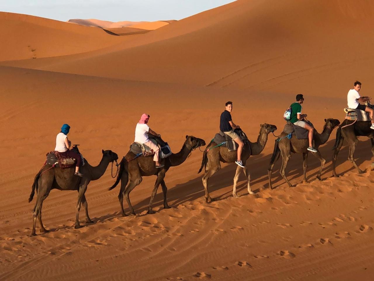 Sahara camel tours camp Hotel Merzouga Bagian luar foto