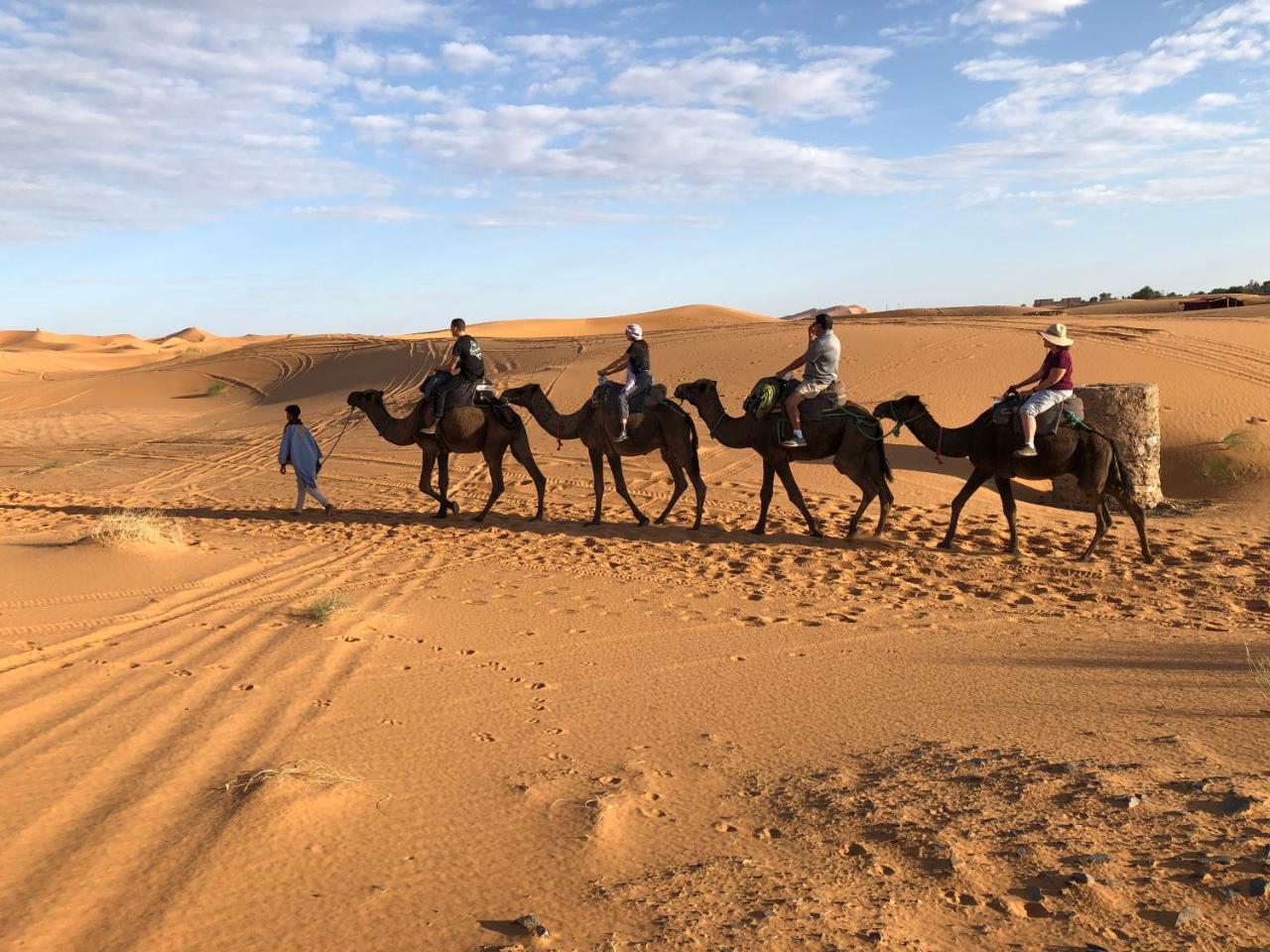 Sahara camel tours camp Hotel Merzouga Bagian luar foto